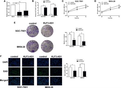 Long Noncoding RNA KLF3-AS1 Acts as an Endogenous RNA of miR-223 to Attenuate Gastric Cancer Progression and Chemoresistance